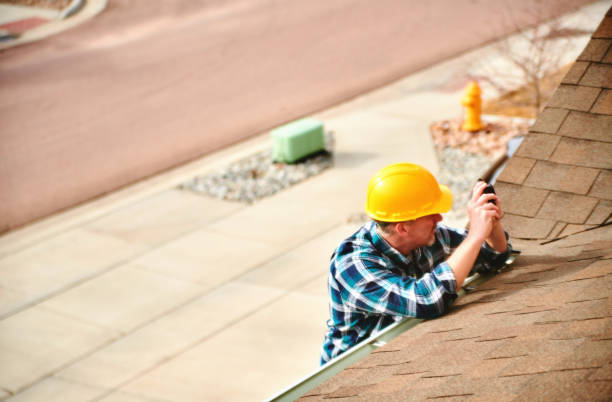 Best Roof Gutter Cleaning  in Wright City, MO