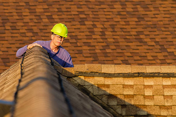 Best Roof Leak Repair  in Wright City, MO
