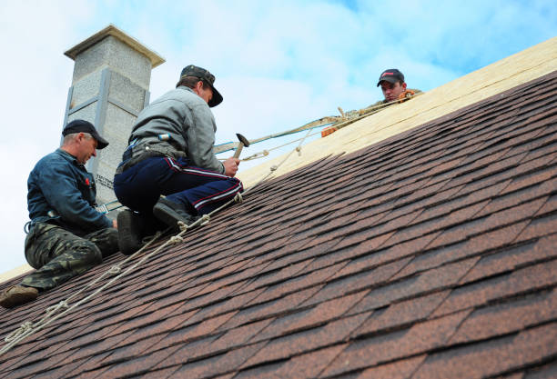 Best Roof Repair Services  in Wright City, MO